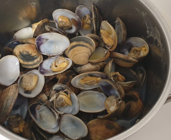 Clams cooked and open